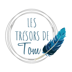 Logo final Les Trésors de Tom PNG